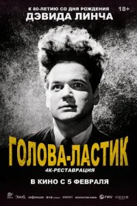  Голова-ластик 