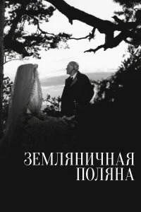  Земляничная поляна 